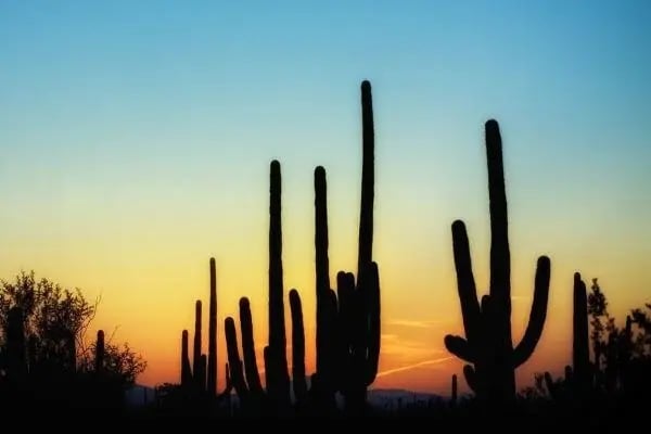 Commitment to sustainability