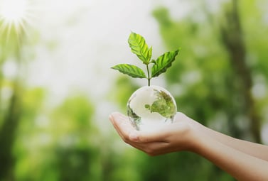 freepik-hand-holding-glass-globe-ball-with-tree-growing-green-nature-blur-background