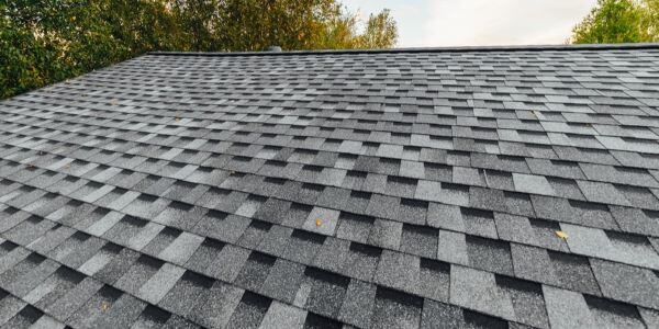 new shingle roof page 600x300