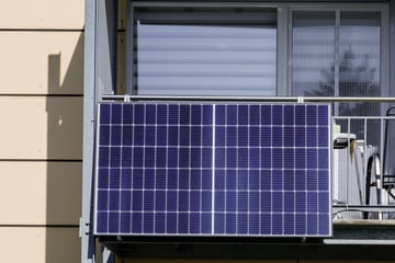 shutterstock_2372745679