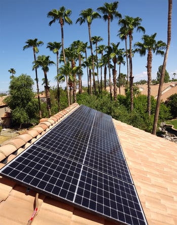 solar panels and palm trees