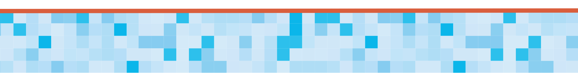 narrow_red line SVSS grid 