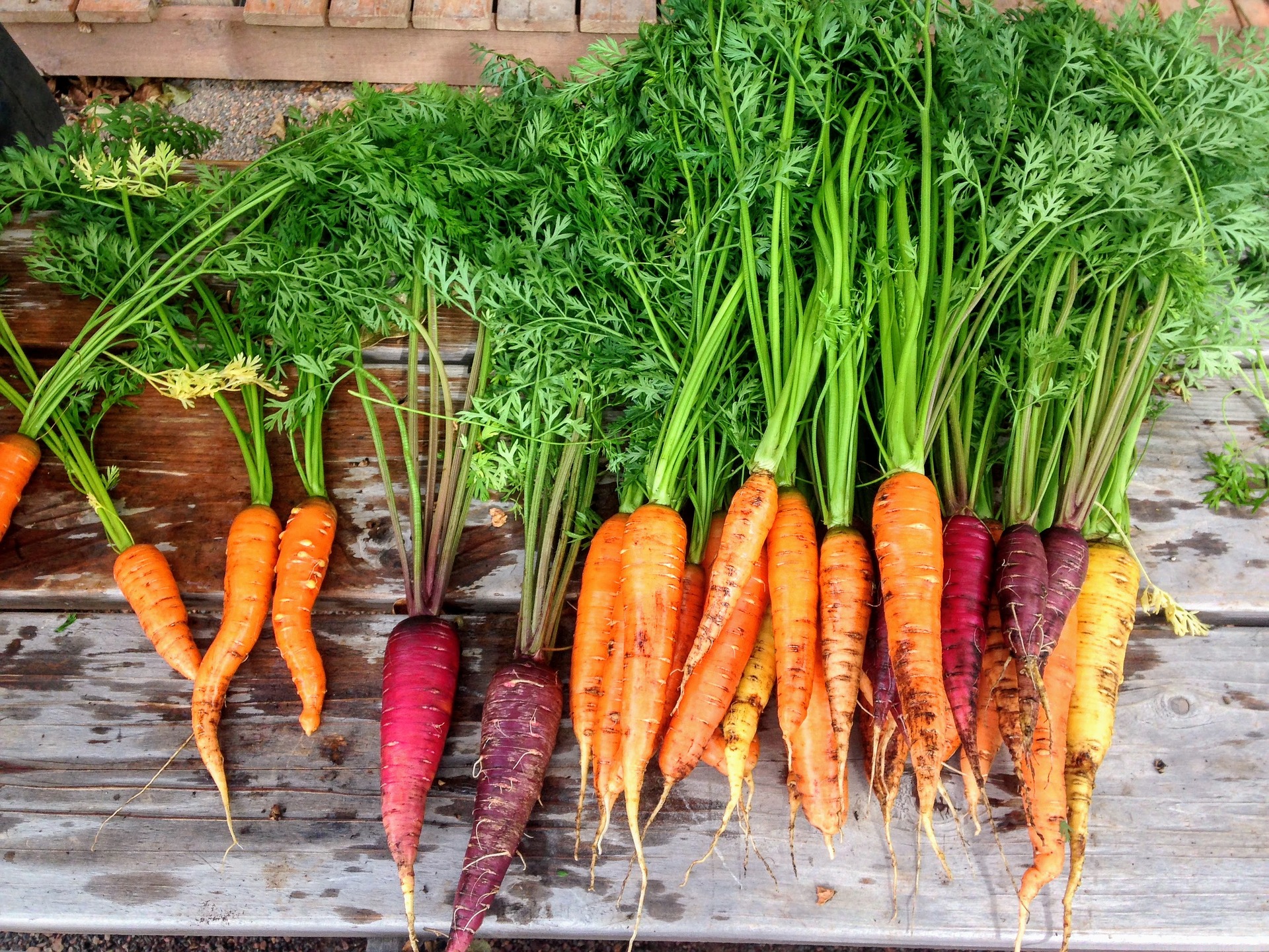 4 Recipes to Make with the Harvest From Your Home Garden